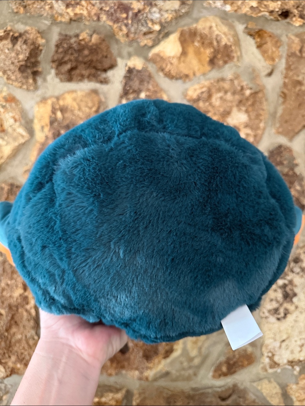 Squishmallows fuzzamallows Reed 12” - Picture 3 of 8